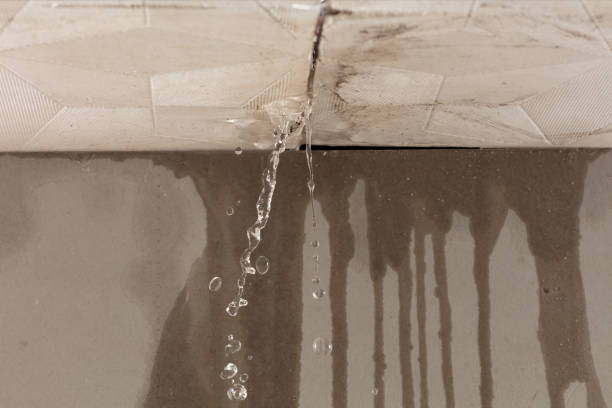 Professional Structural Drying technician working in New Franklin, OH